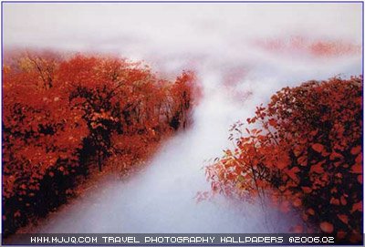 秋日無限「楓」情二--尋找中國最美的秋天