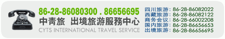 ���������������η���ͻ���ѯԤ���绰