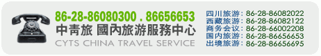 ���������������η���ͻ���ѯԤ���绰