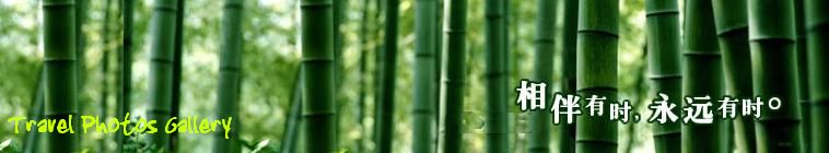 美景旅游网提供西藏,拉萨,阿里,珠峰,日喀则,林芝,西藏各地旅游风景点旅游风景图片,摄影作品,数码照片,旅游风光图片,旅游风景图画,壁纸墙纸图片图库下载,Photos,Photo Gallery
