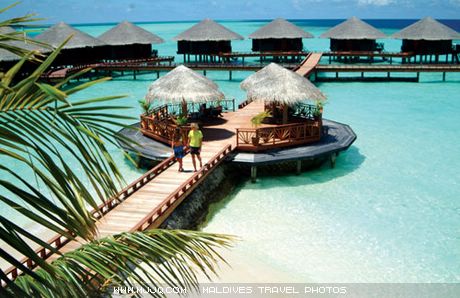 文件 : <FONT COLOR='green'>maldives_060.jpg</FONT> <BR> 尺寸 : <FONT COLOR='green'>460 × 298</FONT> 像素 <BR> 大小 : <FONT COLOR='green'> -- </FONT> KB