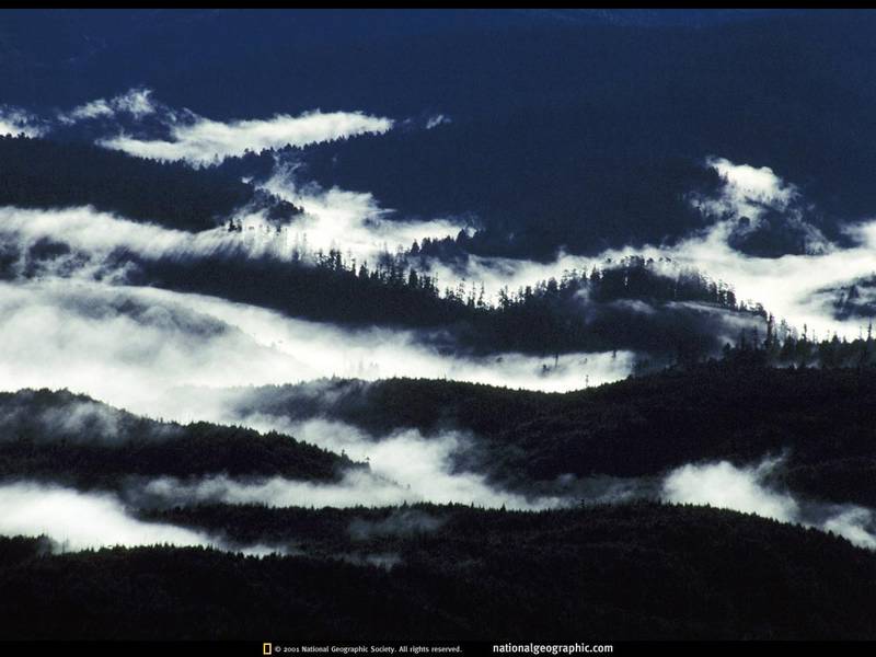 文件 : <FONT COLOR='green'>world_photos_08.jpg</FONT> <BR> 尺寸 : <FONT COLOR='green'>800 × 600</FONT> 像素 <BR> 大小 : <FONT COLOR='green'> -- </FONT> KB