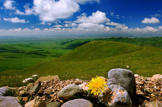 风景这边独好—甘南美(多图)甘南风光 甘南摄影 甘南风景 甘南图片