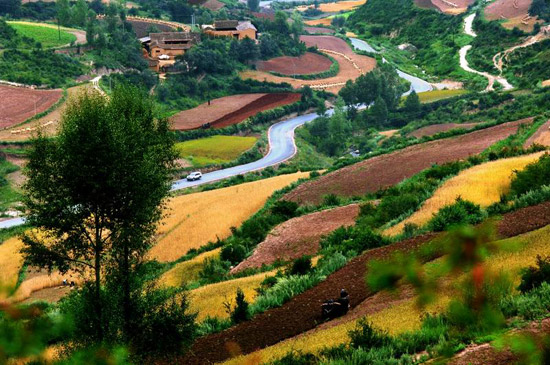 风景这边独好—甘南美(多图)甘南风光 甘南摄影 甘南风景 甘南图片