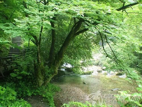 美景旅游网图片库