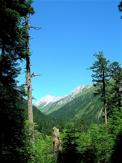 美景旅游网图片库