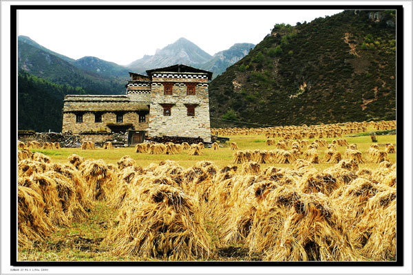 稻城亚丁旅游风光图片