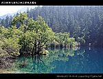 九寨沟图片 Sichuan Jiuzhaigou Photos