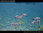 九寨沟图片 Sichuan Jiuzhaigou Photos