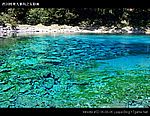 九寨沟图片 Sichuan Jiuzhaigou Photos