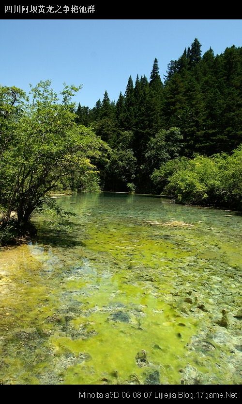 图片:黄龙风景区