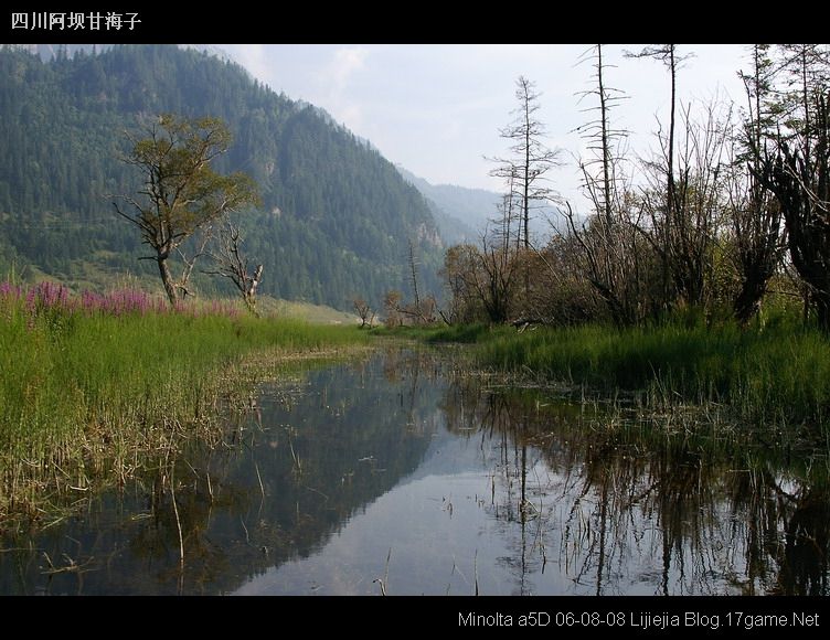 图片:甘海子风景区