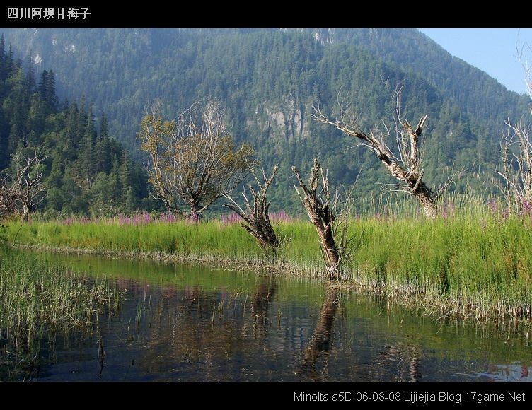 图片:甘海子风景区