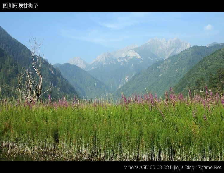 图片:甘海子风景区