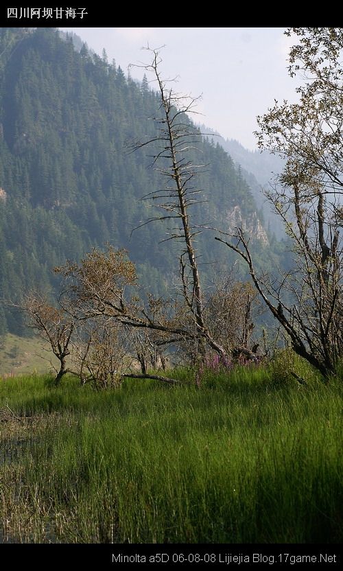 图片:甘海子风景区