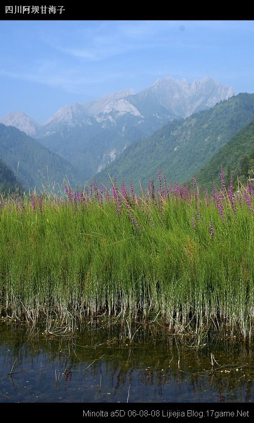 图片:甘海子风景区