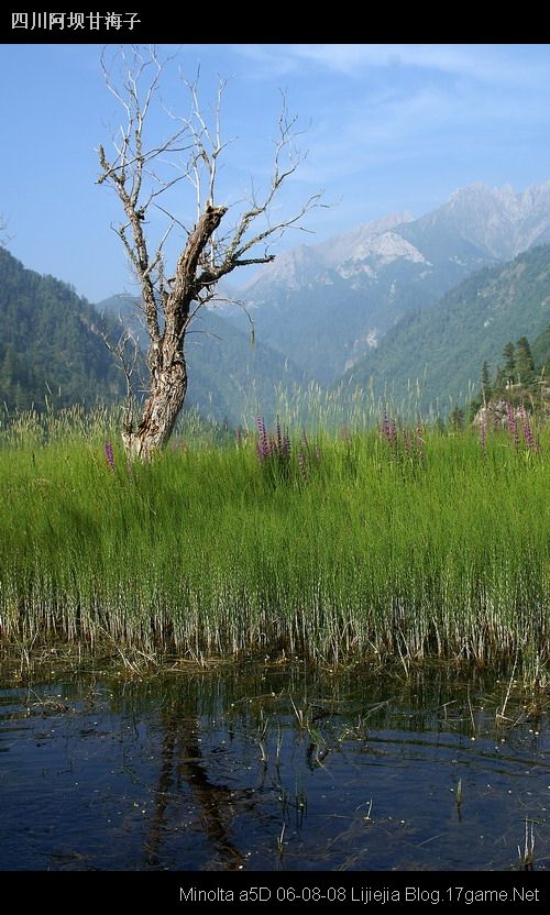 图片:甘海子风景区