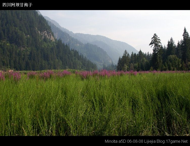 图片:甘海子风景区