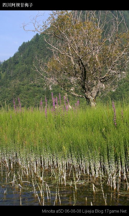 图片:甘海子风景区