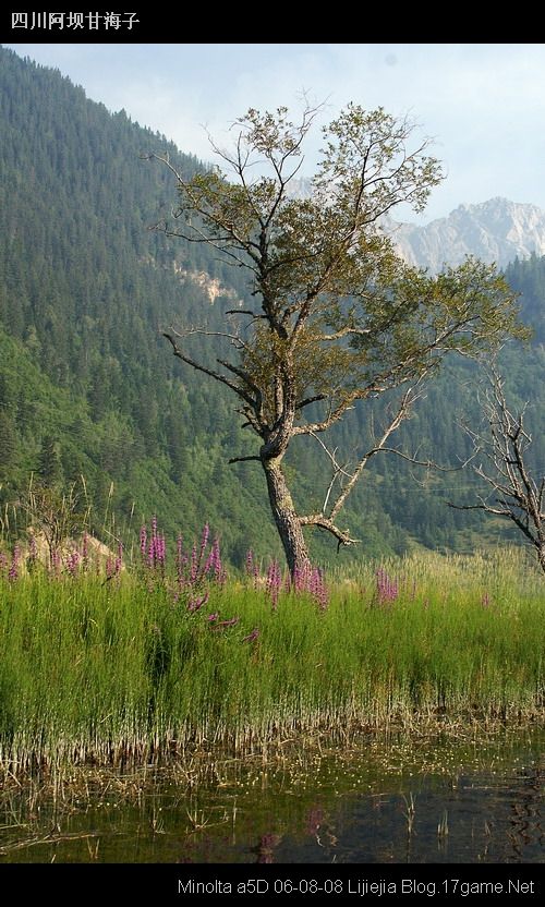 图片:甘海子风景区