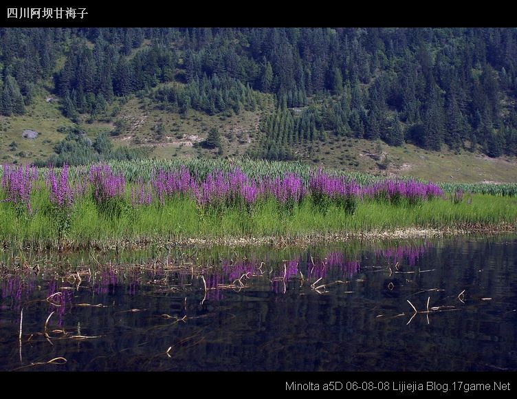 图片:甘海子风景区