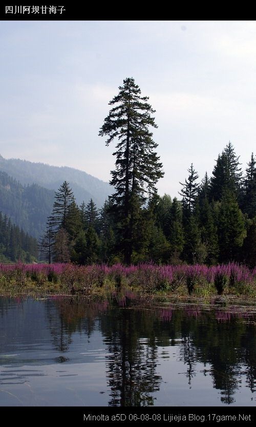 图片:甘海子风景区