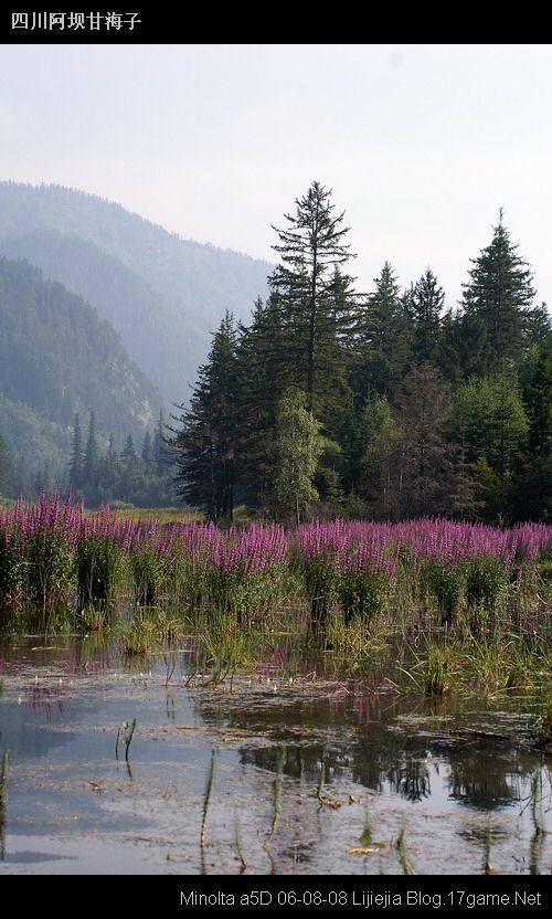 图片:甘海子风景区