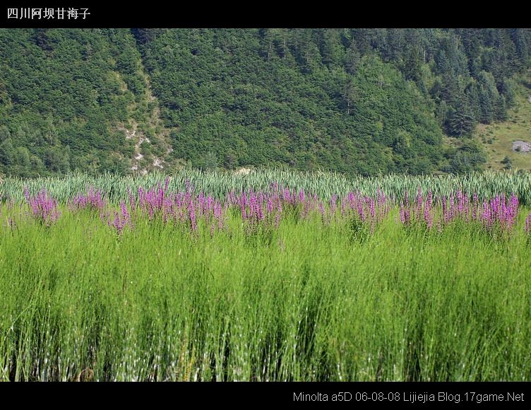 图片:甘海子风景区
