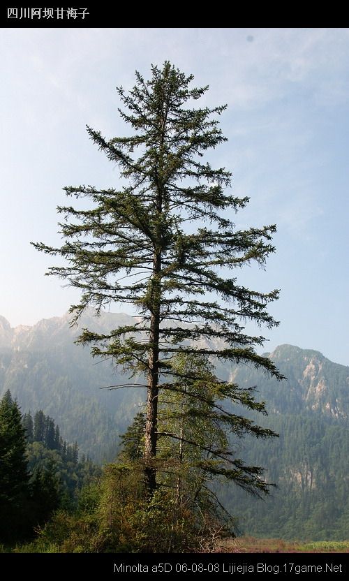 图片:甘海子风景区