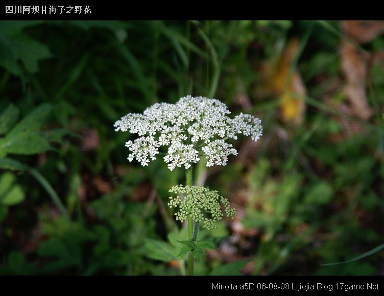 图片:甘海子风景区