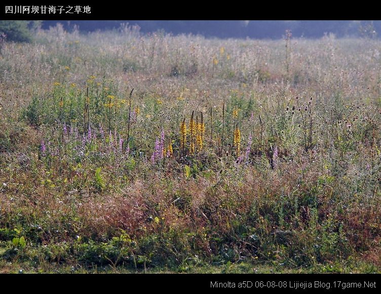 图片:甘海子风景区
