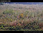 图片:甘海子风景区