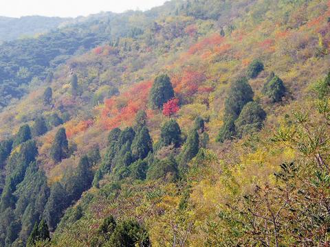 北京香山公园