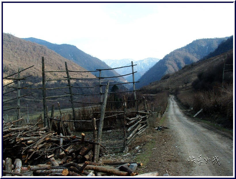 图片：四川王朗白马风景区