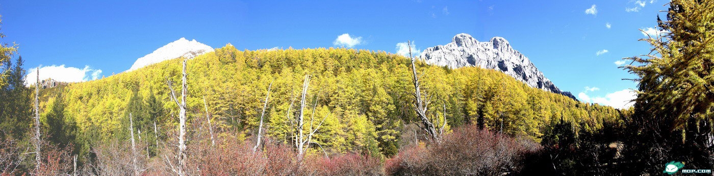 美景旅游网图片库