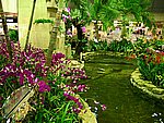 巴厘岛图片.Bali Travel Photos