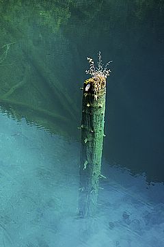 图片:九寨沟风景区