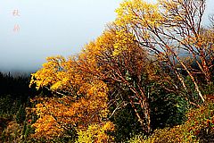 图片:九寨沟风景区