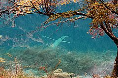 图片:九寨沟风景区