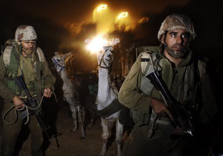 图文：以色列士兵准备骆驼来帮助运输物资