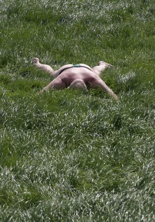图文:英国伦敦一名男子爬在樱草花地中
