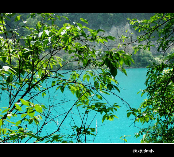 美景旅游网图片库