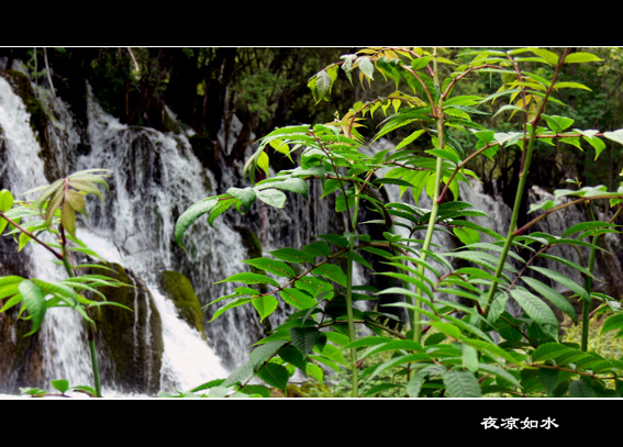 九寨沟风光图片.Jiuzhaigou Photos