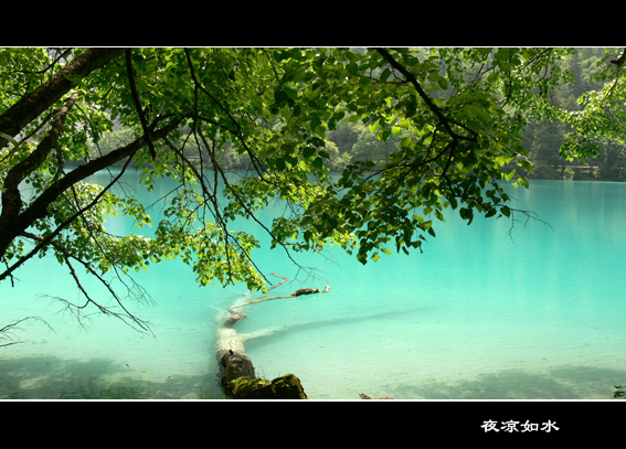 九寨沟风光图片.Jiuzhaigou Photos