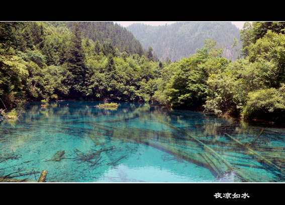 九寨沟风光图片.Jiuzhaigou Photos