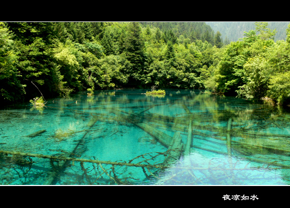 九寨沟风光图片.Jiuzhaigou Photos