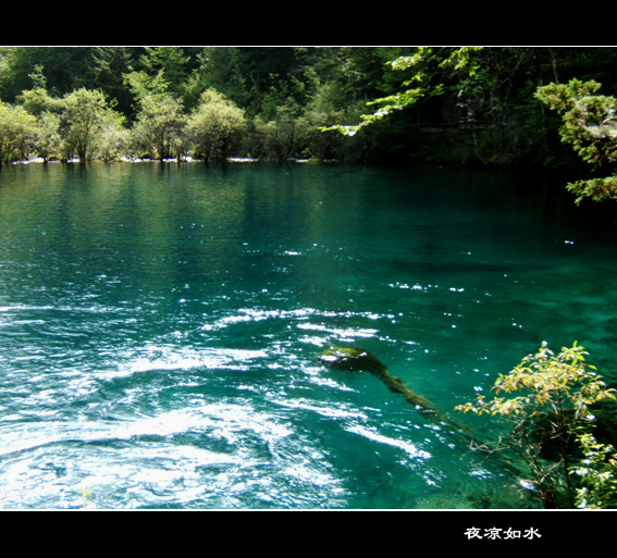 九寨沟风光图片.Jiuzhaigou Photos