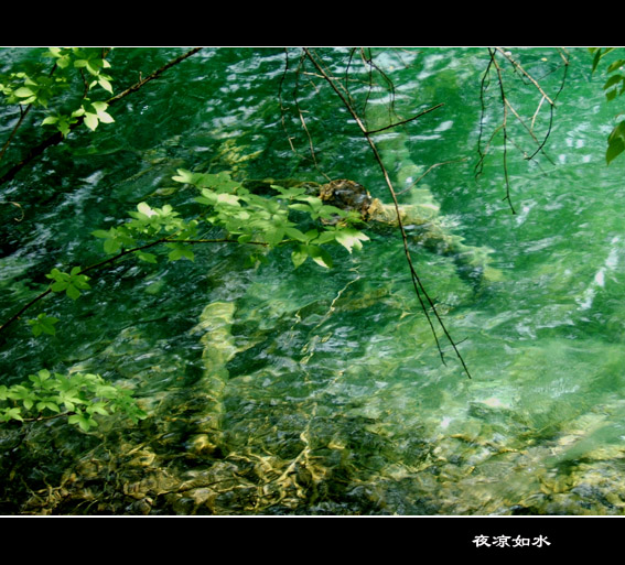 九寨沟风光图片.Jiuzhaigou Photos