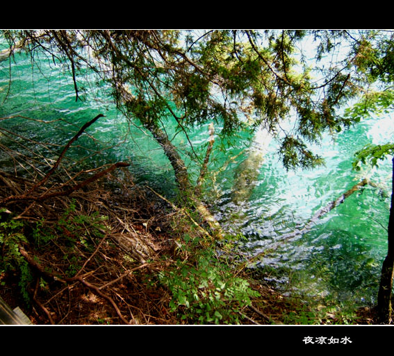 九寨沟风光图片.Jiuzhaigou Photos