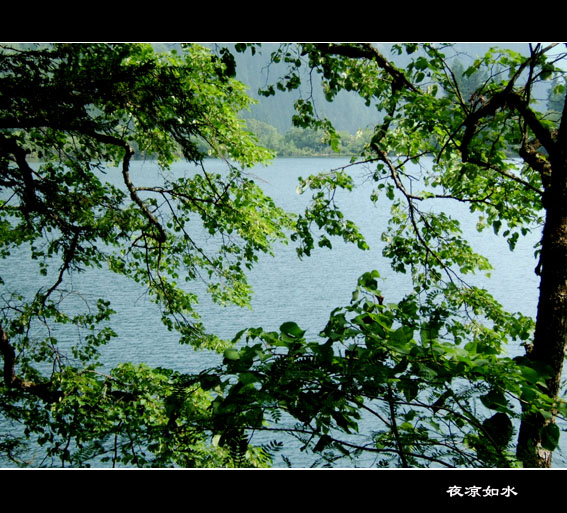 九寨沟风光图片.Jiuzhaigou Photos